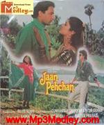 Jaan Pehchan 1990